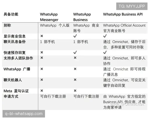 WhatsApp Business：同一设备能否同步登录多个账户？