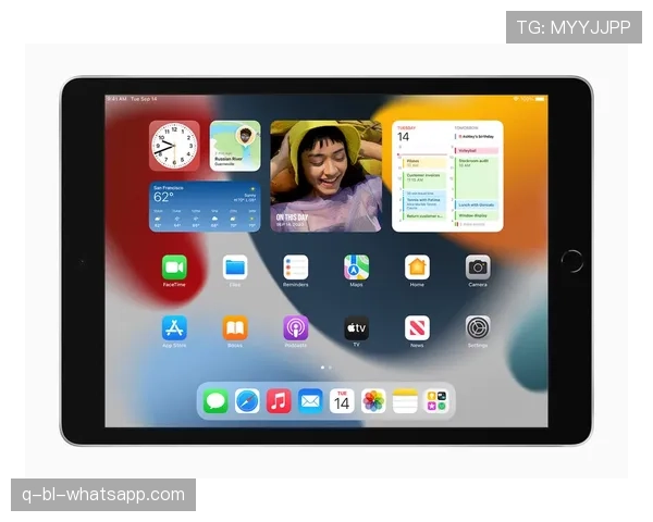 iPad能装WhatsApp吗？官方应用支持全解析